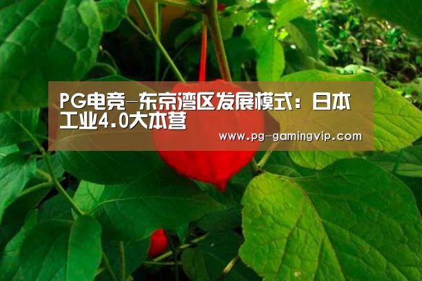 PG电竞-东京湾区发展模式:日本工业4.0大本营(图1) PG电竞