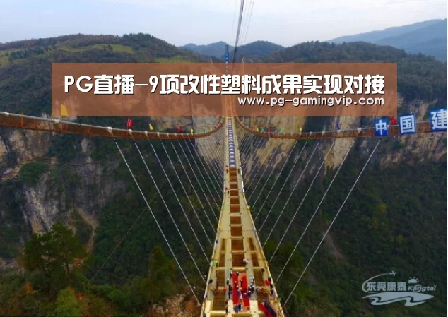 PG直播-9项改性塑料成果实现对接(图1) PG赛事