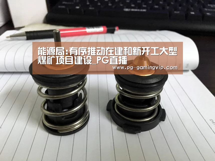能源局:有序推动在建和新开工大型煤矿项目建设_PG直播(图1) PG棋牌